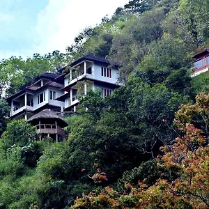 Blackberry Hills Nature & 4* Munnar